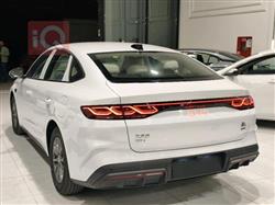 بي واي دي كوين L DM-i